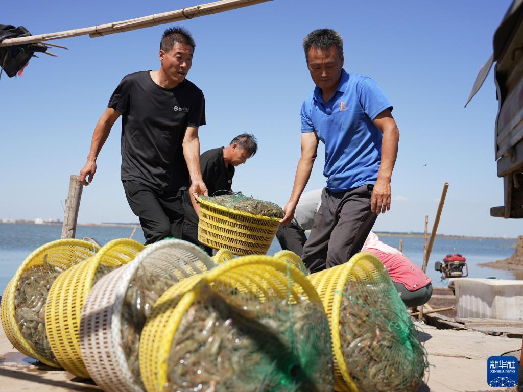 乐游游戏下载